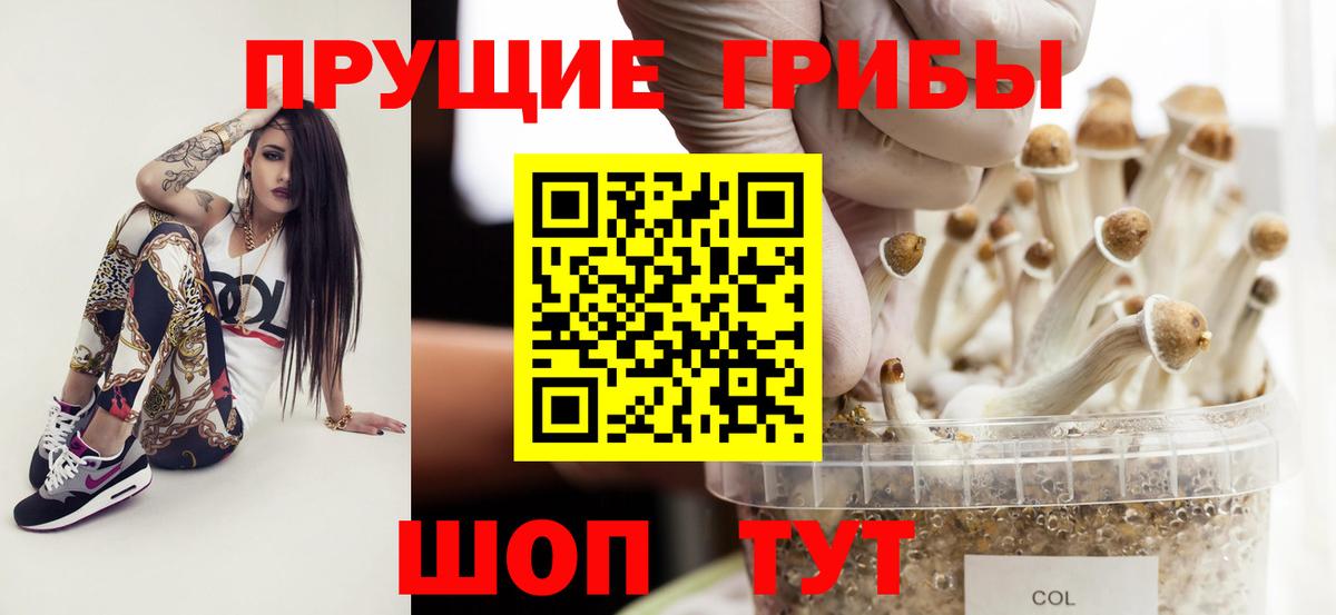 Азов  Галлюциногенные грибы GOLDEN TEACHER  Псилоцибиновые грибы мицелий  как найти наркотики  Вход с VPN 